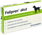 Felipren Akut Vet 24 ST