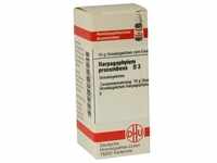 Harpagophytum Procum D 3 10 G