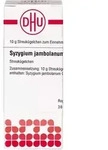 Syzygium Jamb D 2 10 G