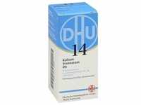 Biochemie Dhu 14 Kalium Bromatum D 6 80 ST