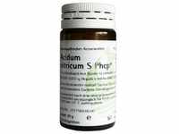 Acidum Nitricum S Phcp 20 G