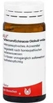 Viscum/Echinacea 20 G