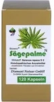 Saegepalme Bioxera 120 ST