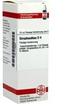 Strophanthus D 4 20 ML