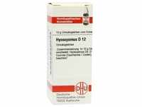 Hyoscyamus D12 10 G