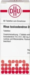 PZN-DE 02104896, DHU-Arzneimittel Rhus Tox D12 80 ST