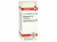 Cyclamen D12 10 G