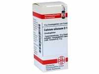 Calcium Silic D12 10 G
