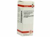 Galphimia Glauca D 4 20 ML