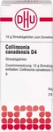 PZN-DE 07456163, DHU-Arzneimittel Collinsonia Canadens D 4 10 G