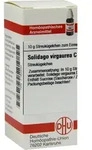 Solidago Virga C30 10 G