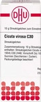 PZN-DE 04212503, DHU-Arzneimittel Cicuta Virosa C30 10 G