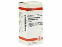 Calcium Carb Hahnem D 3 80 ST