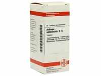 Aethiops Antimon D12 80 ST