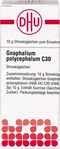 PZN-DE 04219008, DHU-Arzneimittel Gnaphalium Polyc C30 10 G