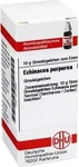 PZN-DE 04215921, DHU-Arzneimittel Echinacea Purpur D 2 10 G