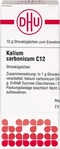 PZN-DE 07171041, DHU-Arzneimittel Kalium Carbonicum C12 10 G