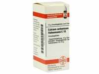 Calcium Carbonicum Hahnemanni C10 10 G