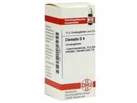 Clematis D 4 10 G