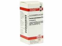 Ferrum Picrinicum D 6 10 G