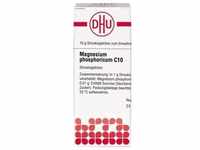 Magnesium Phos C10 10 G