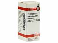 Anacardium C30 10 G