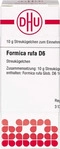 PZN-DE 04217765, DHU-Arzneimittel Formica Rufa D 6 10 G