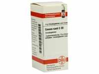 Coccus Cacti C30 10 G