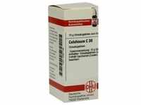 Colchicum C30 10 G
