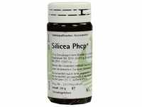 Silicea Phcp 20 G