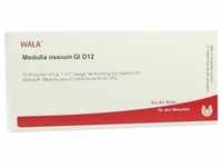 Medulla Ossium Gl D12 10 ML