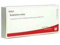 Gnaphalium Comp 10 ML