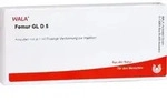 Femur Gl D 5 10 ML