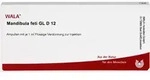 Mandibula (feti) Gl D12 10 ML