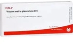 Viscum Mali E Pl Tota D 6 10 ML