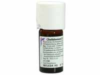 Chelidonium D1 20 ML