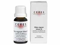 Ceres Ribes Nigrum Folium Urtinktur 20 ML