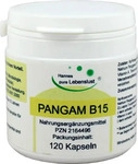PZN-DE 02164496, G & M Naturwaren Import Pangam Vitamin B15 120 ST