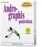 Andrographis Paniculata 60 ST