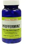 PZN-DE 06922901, Hecht-Pharma Pfefferminz 450mg Gph Kapseln 90 ST