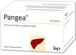 Pangea 120 ST