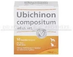 Ubichinon Comp Ad Us. Vet. 10 ST