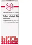 Justicia Adhatoda C30 10 G