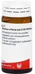 Arnica E Planta Tota D20 20 G