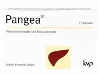 Pangea 15 ST