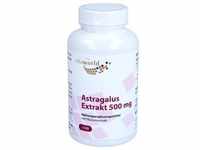 Astragalus Extrakt 500 mg 120 ST