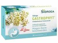 Sidroga Gastrophyt 250 mg Filmtabletten 30 ST