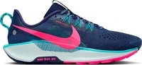 Nike Traillaufschuh (Herren) Pegasus Trail 5 - Herren, Blau male