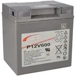 Exide Sprinter P12V600 12V 24Ah AGM Hochstromakku