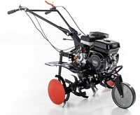 Benzin Motorhacke MTP750